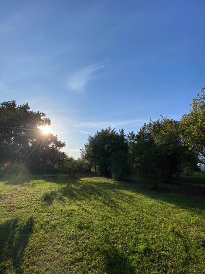 Studio Climatise Dans Un Ancien Domaine Viticole Montpellier Kültér fotó