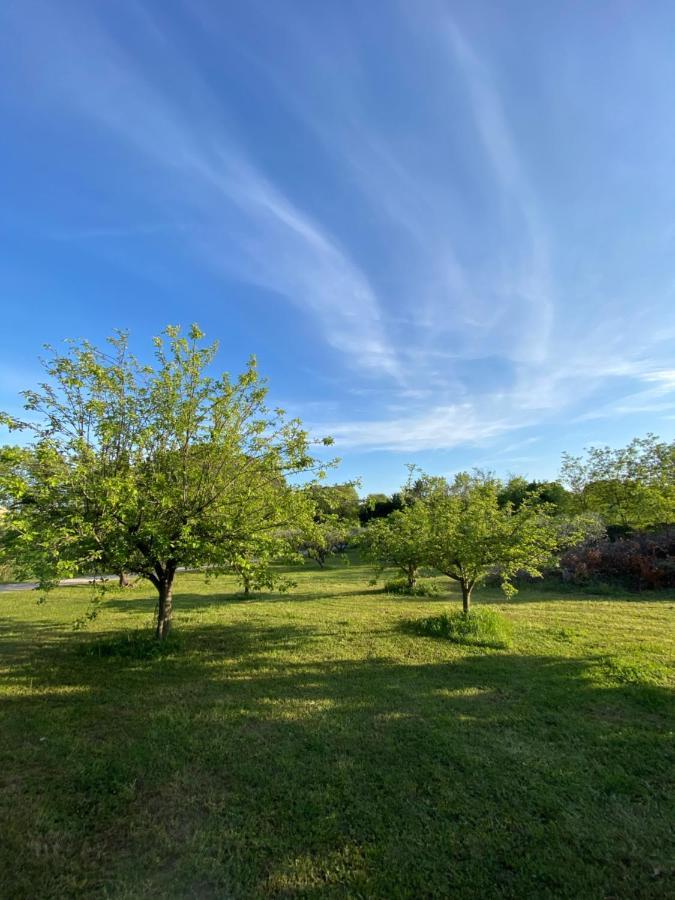 Studio Climatise Dans Un Ancien Domaine Viticole Montpellier Kültér fotó