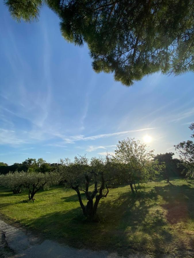 Studio Climatise Dans Un Ancien Domaine Viticole Montpellier Kültér fotó